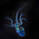 Illustration for article titled These unbelievable monsters with seven legs are actually real frogs